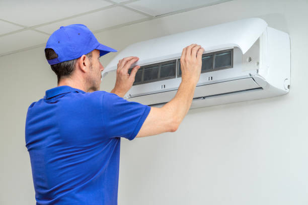 Best Air Vent Cleaning Services  in Hamlin, WV